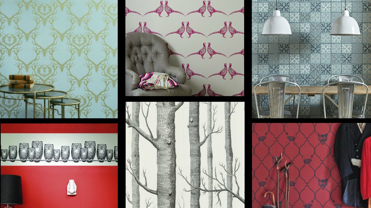 Avatar for Jenny Elliott